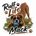 Pet - Stickers