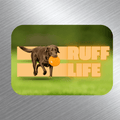 Pet Life Photo Magnets