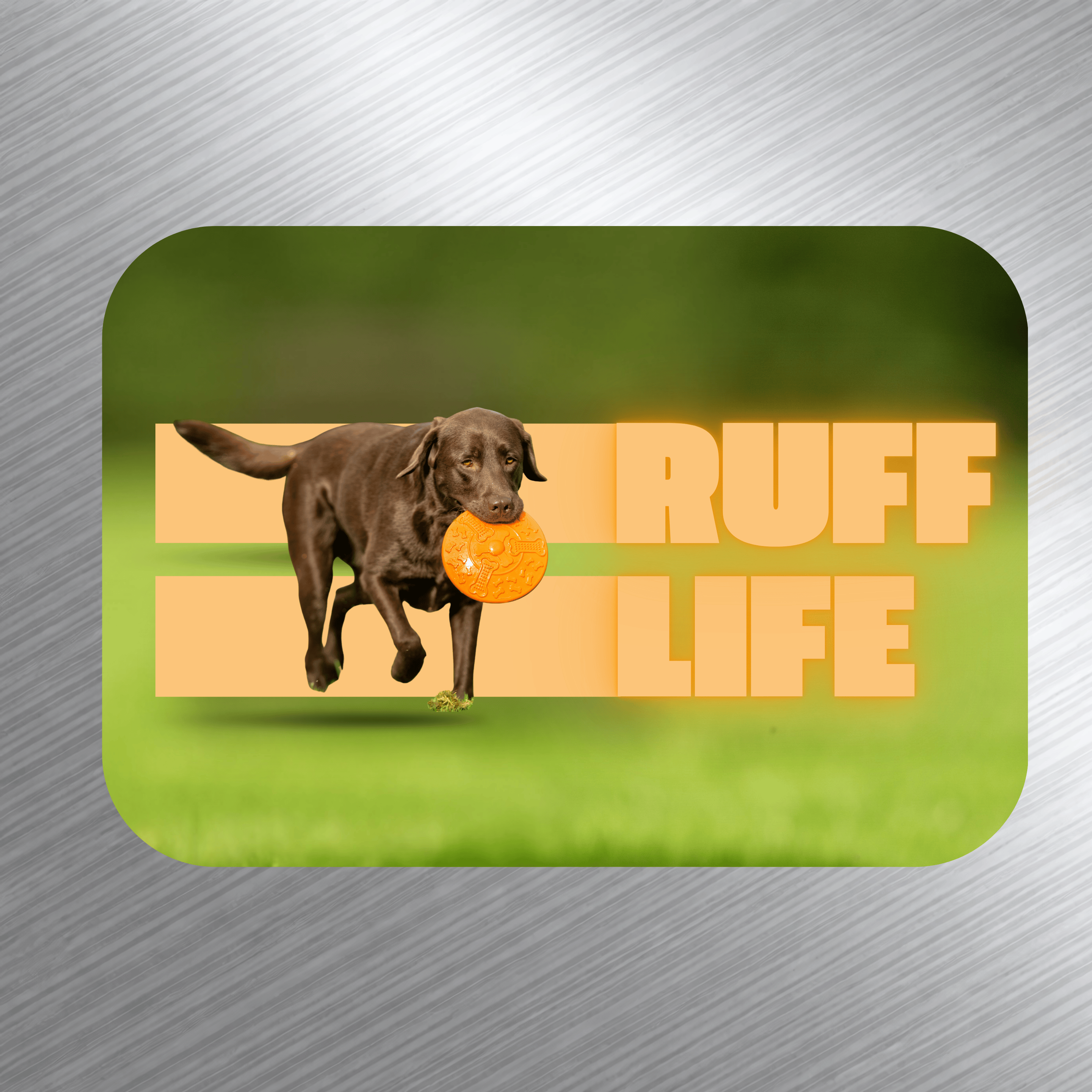 Pet Life Photo Magnets